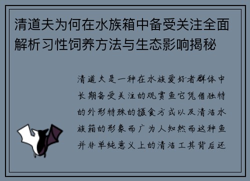 清道夫为何在水族箱中备受关注全面解析习性饲养方法与生态影响揭秘 清道夫为何在水族箱中备受关注全面解析习性饲养方法与生态影响揭秘